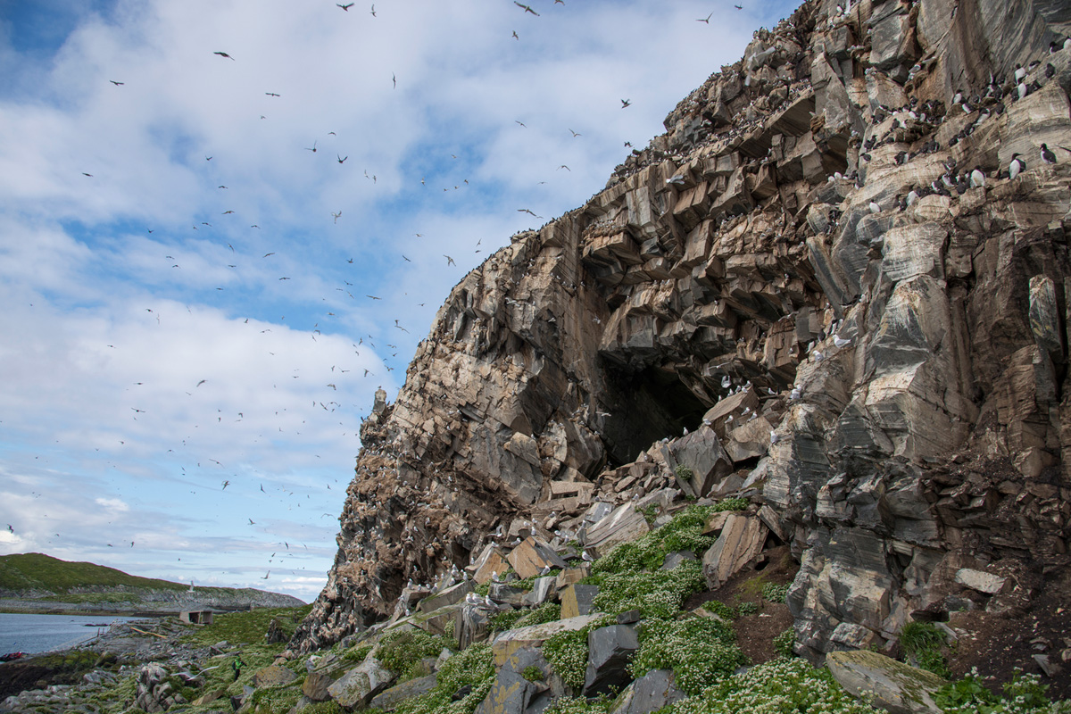 Cliffs on Hornøya