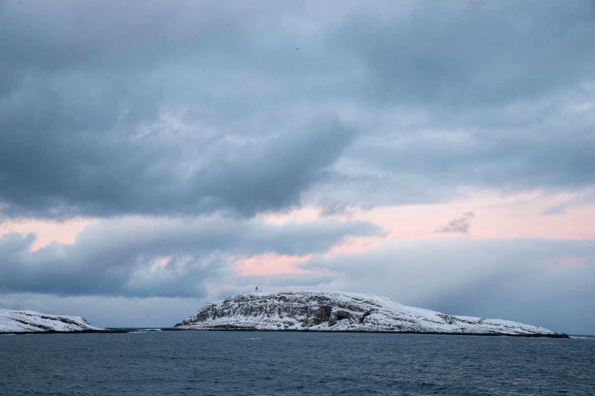 Hornøya in winter