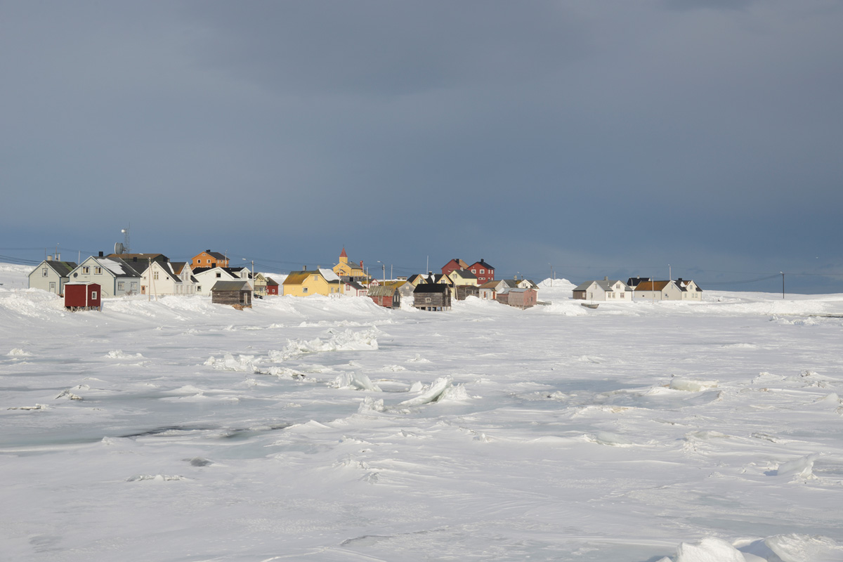 Skallelv in winter